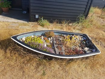 Boat at Dungeness KW 2018